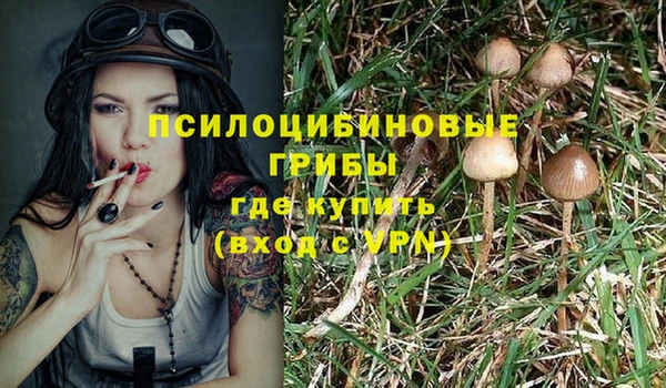 спиды Армянск